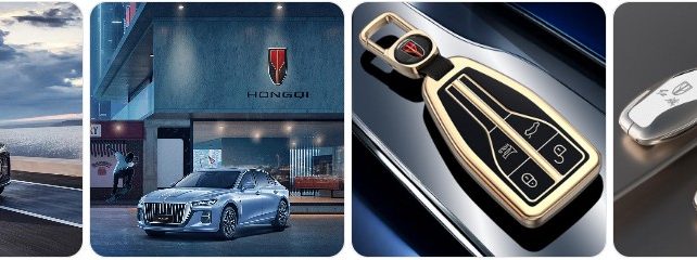Hongqi Key Fob Battery Replacement – Buy Key Fob for Hongqi